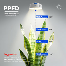 Barrina Orbgrow OG09 two-pack setup on a plant shelf with flexible mounting.