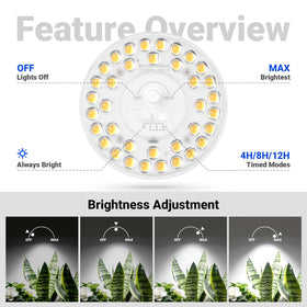 Barrina Orbgrow OG11A bulb in fixture; plug-and-play for various indoor setups