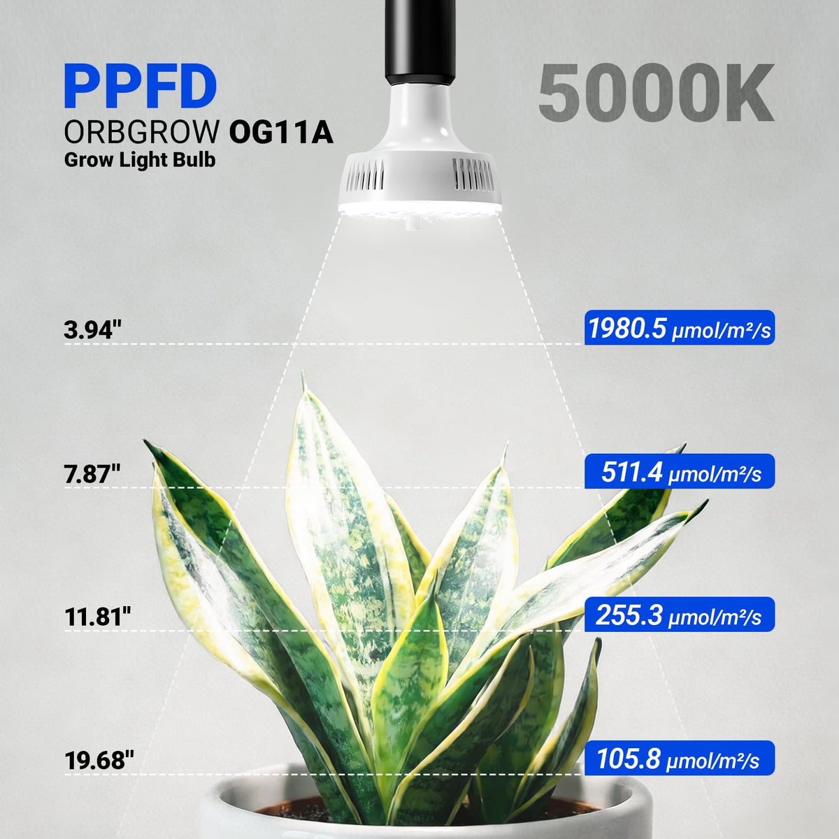 Barrina Orbgrow OG11A side view; compact design fits small grow spaces