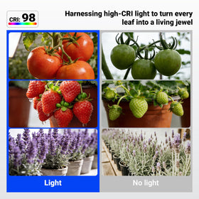 Barrina Orbgrow OG11A 5000K light; daylight-like glow for healthy indoor plants