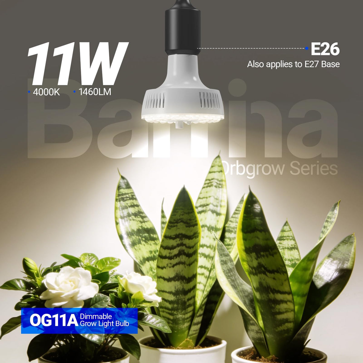 OG11A with E26 base fits most fixtures for flexible indoor setups
