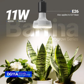 OG11A with E26 base fits most fixtures for flexible indoor setups