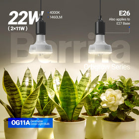 Barrina Orbgrow OG11A delivers high PPFD for seedlings and greens.