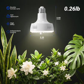 Barrina Orbgrow OG11A two-pack packaging for easy replacement.