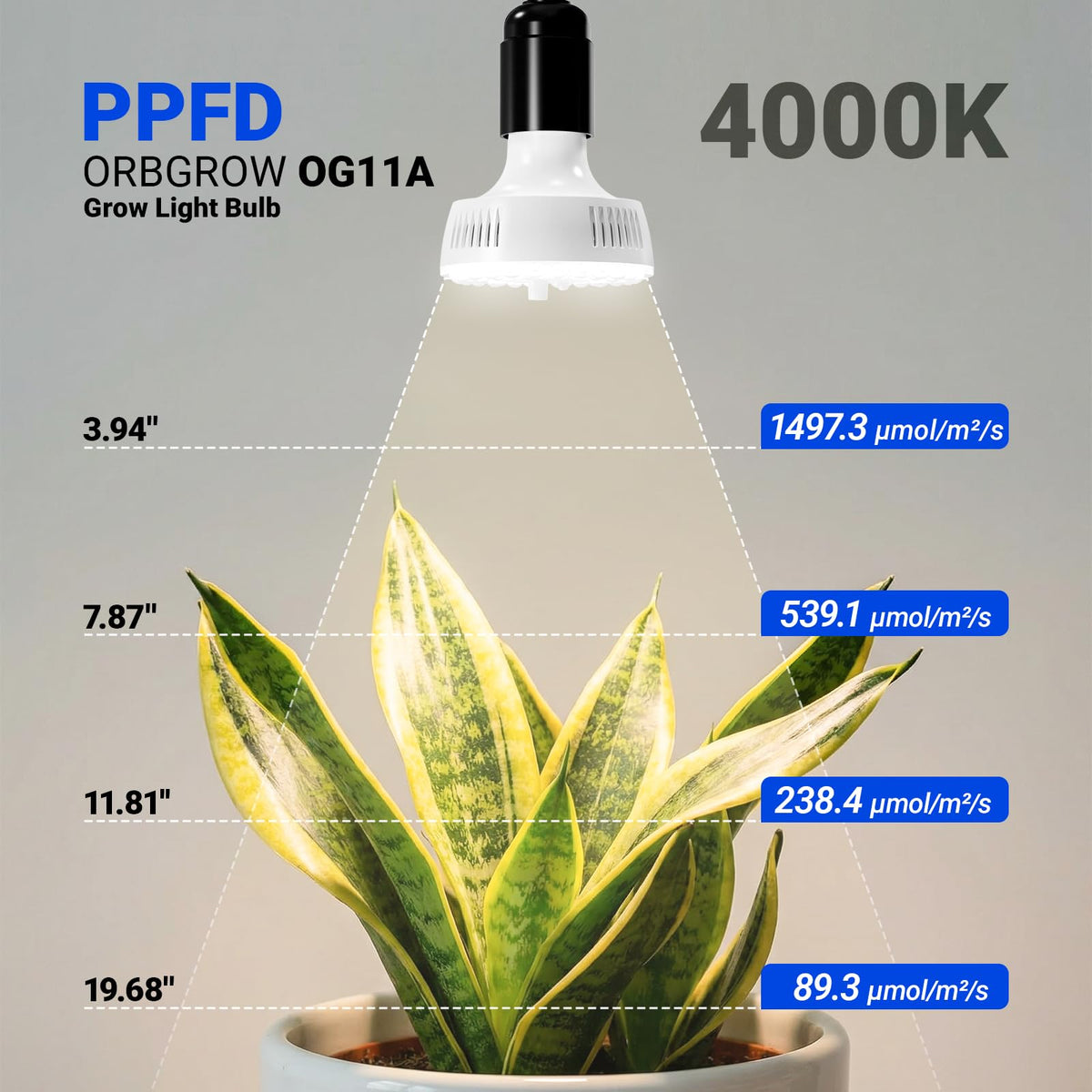 Barrina OG11A2 high PPFD full-spectrum lighting for growth.