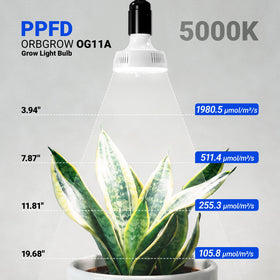 Barrina Orbgrow OG11A2 high PPFD and bright output support growth