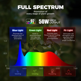 Barrina T1X5 5000K full spectrum supports leafy greens and flowering varieties.
