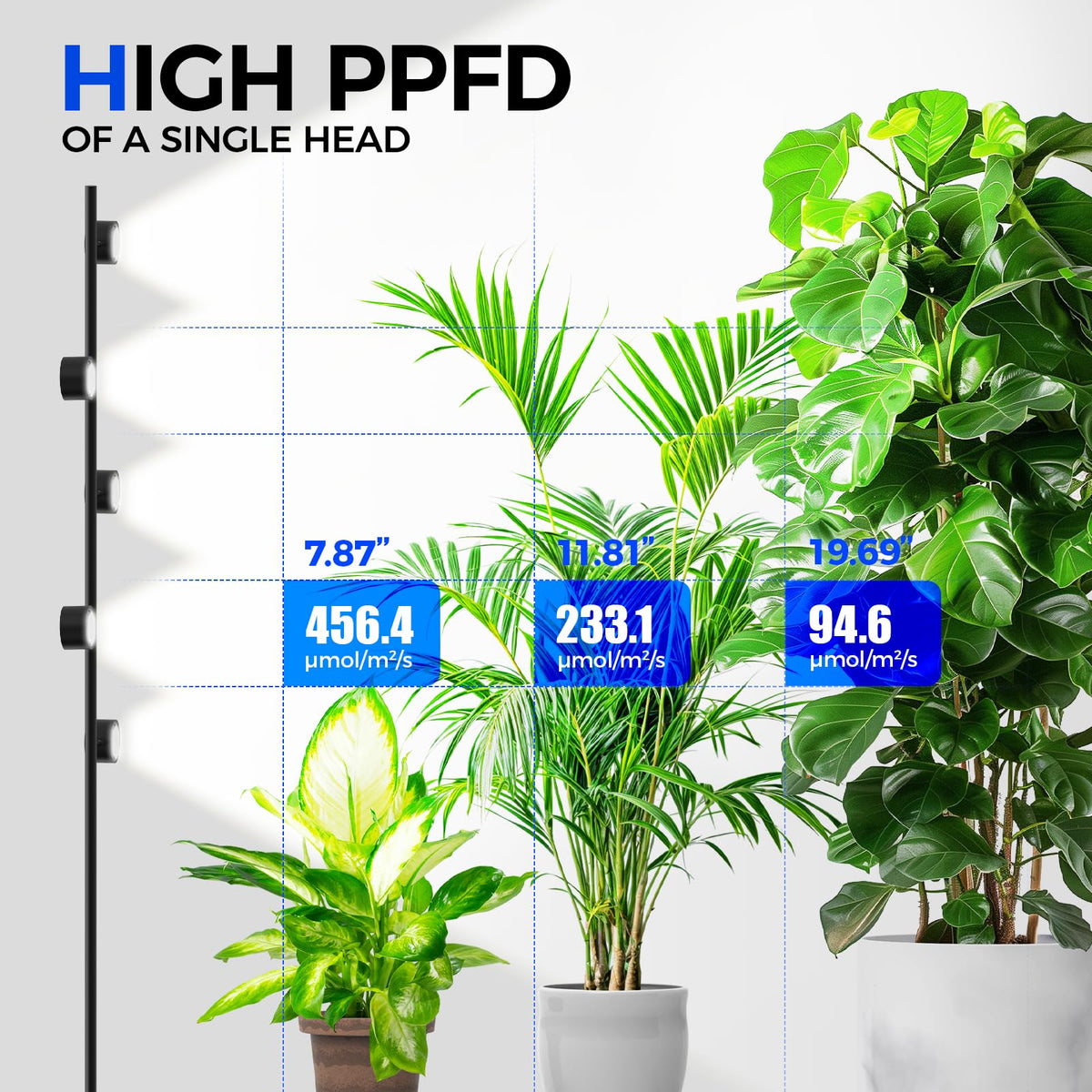 Barrina T1X5 delivers high PPFD across plant stages for robust growth.