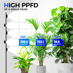 Barrina T1X5 delivers high PPFD across plant stages for robust growth.