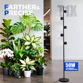 Barrina T1X5 includes a 6.2 ft cord for flexible room placement.