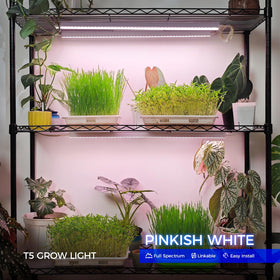 Barrina 4-pack T5 grow lights ready for multi-plant setups