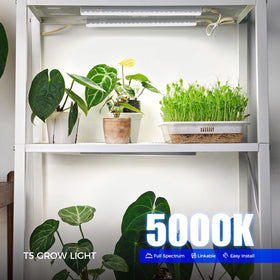 Barrina T5 grow light eight-pack box for scalable indoor garden