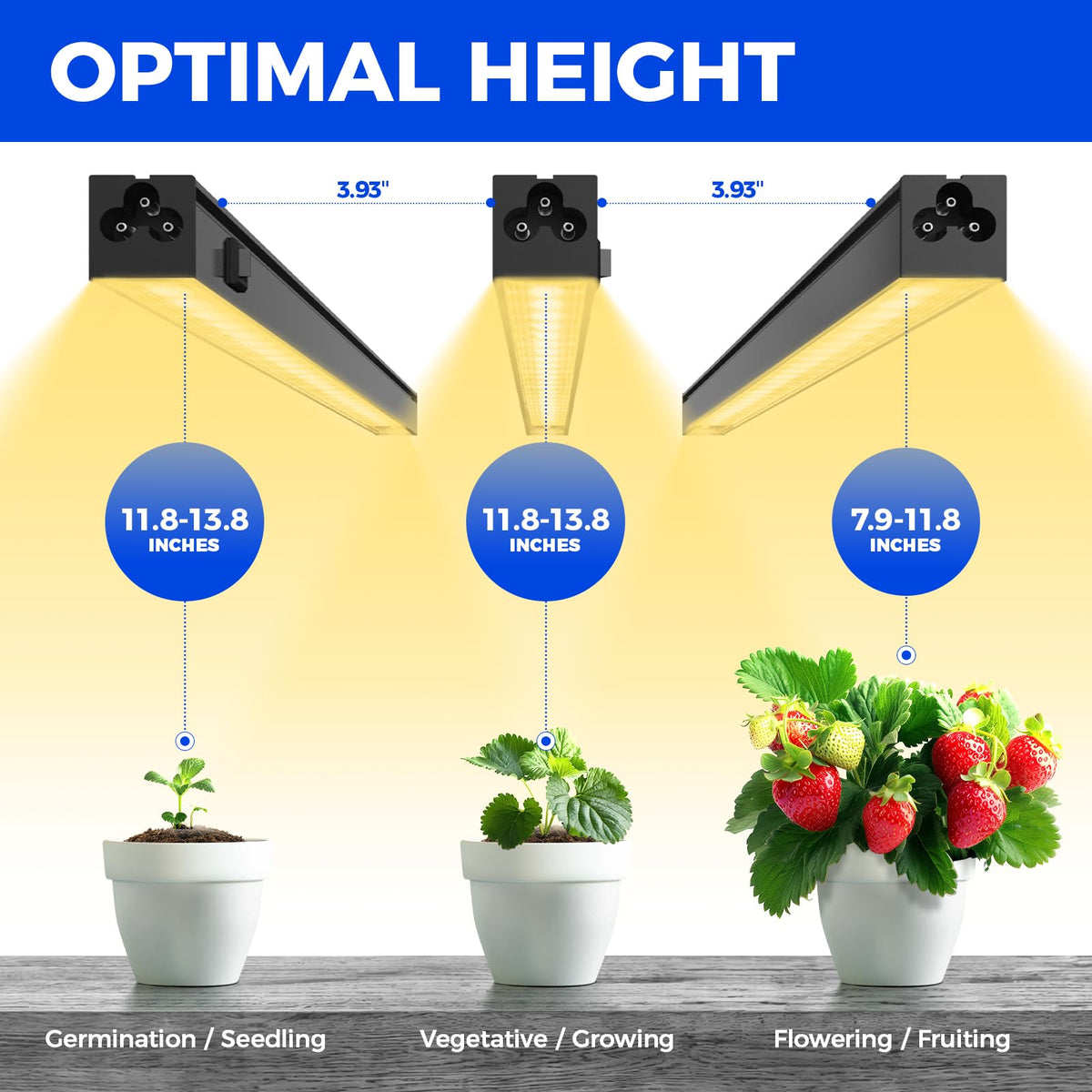 Barrina T5 grow light packaging with clips, cords, and hardware