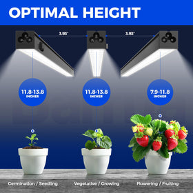 Barrina T5 grow light linkable design for expanding fixtures