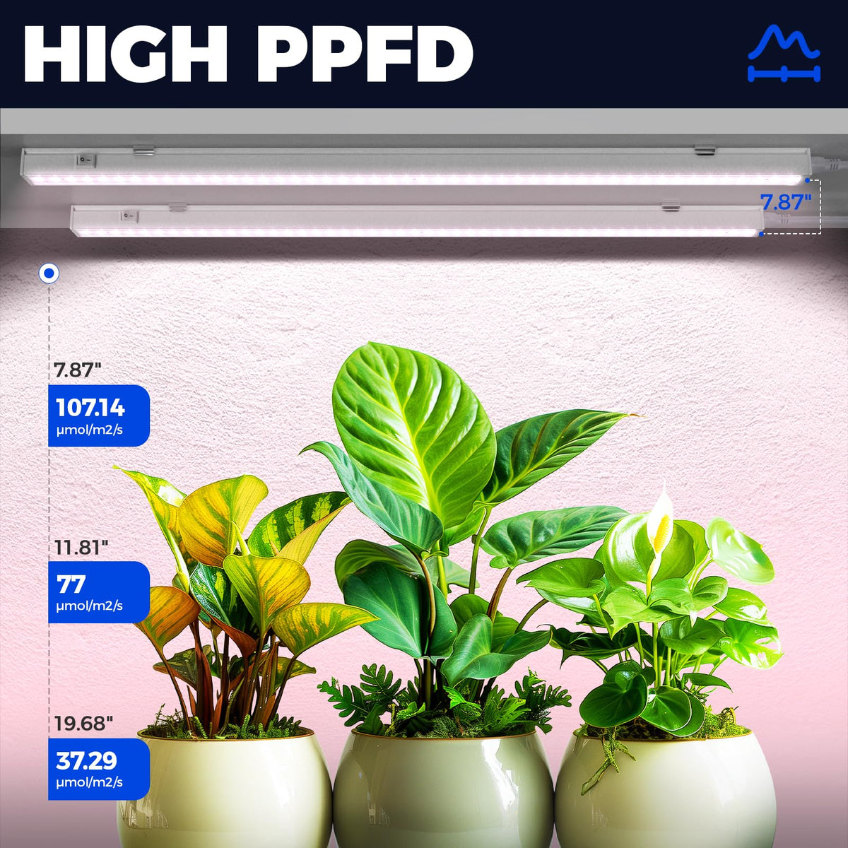 Barrina T5 grow light panel close-up reveals dense LED array