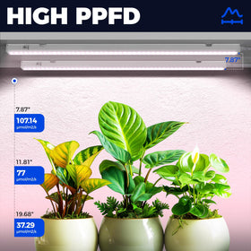 Barrina T5 grow light panel close-up reveals dense LED array