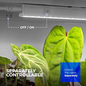 Barrina T5 grow light delivers high PPFD for efficient plant growth.