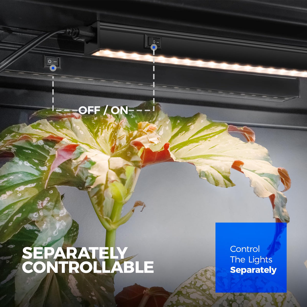Barrina T5 grow light featuring a separate on/off switch for control