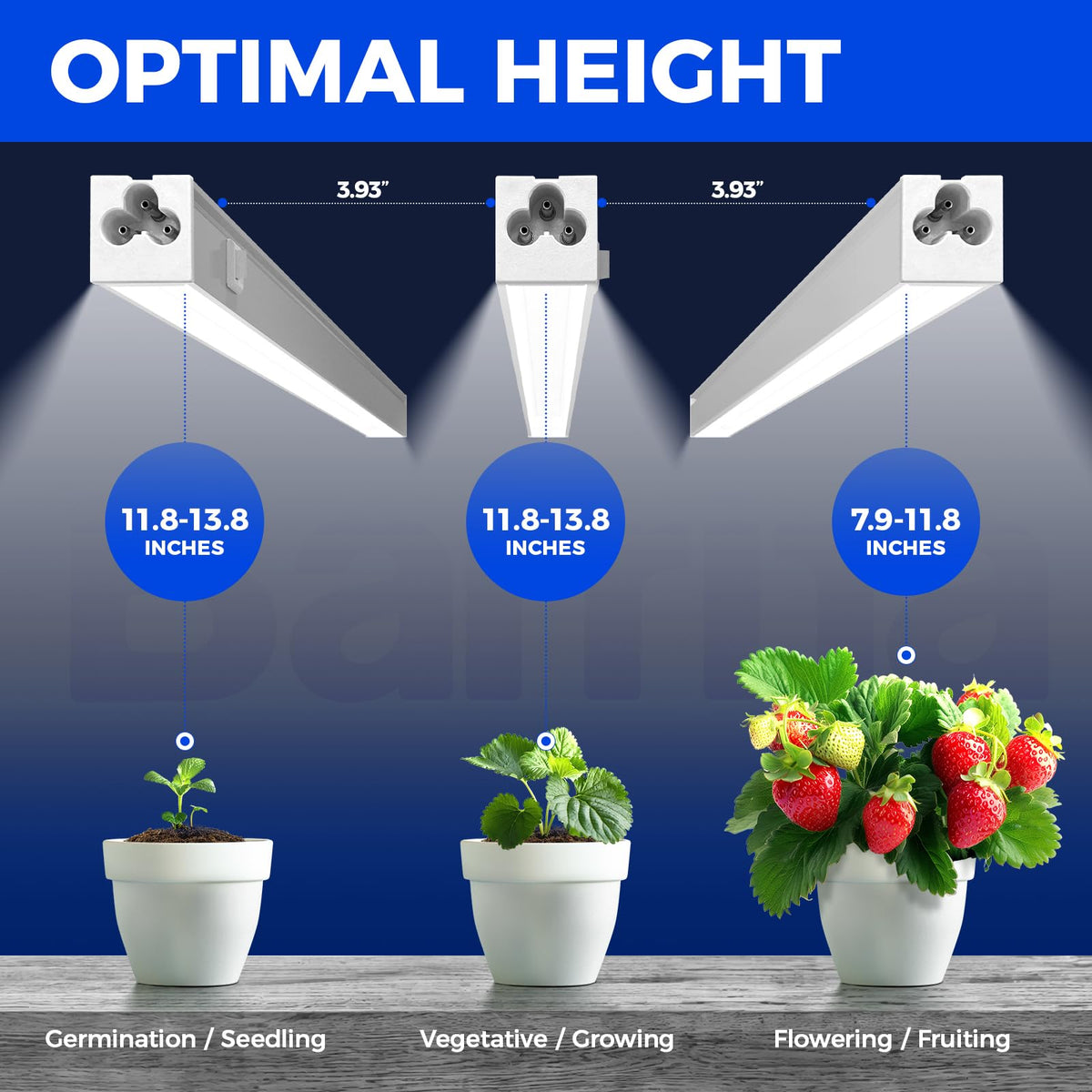 Barrina T5 grow lights linked in series for scalable indoor coverage