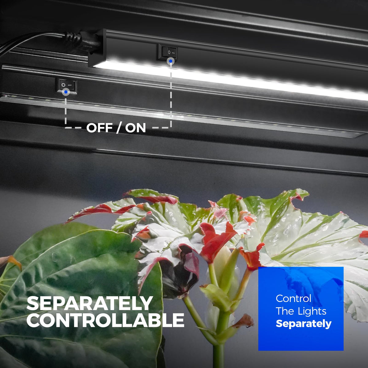 Barrina T5 grow light strip 20W with 96 LEDs delivers efficient plant lighting.