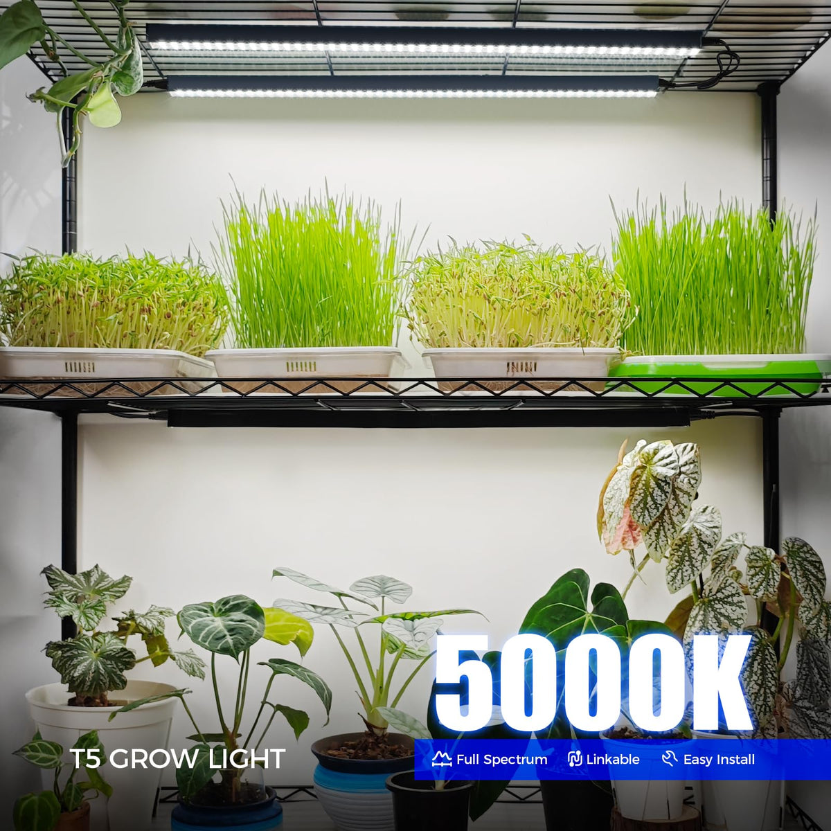 Barrina T5 under cabinet install enables easy hidden lighting for shelves.