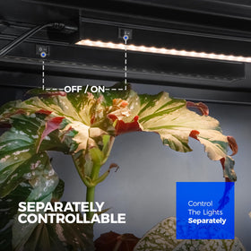 Barrina light with black cover reduces glare while growing plants