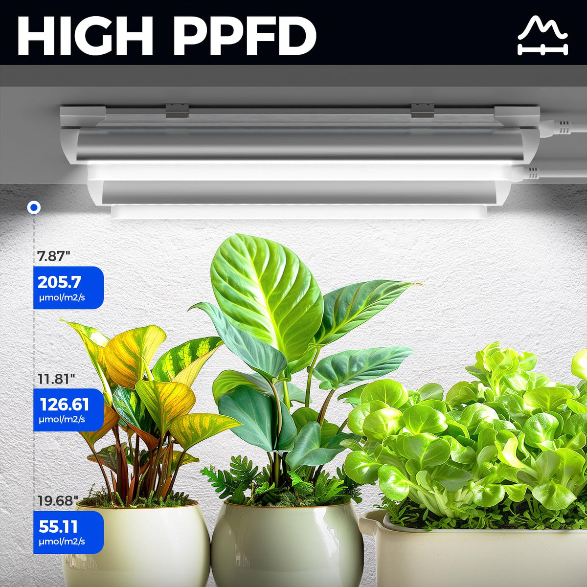 Barrina T8 192-led configuration for high-PPFD plant growth.