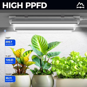 Barrina T8 192-led configuration for high-PPFD plant growth.