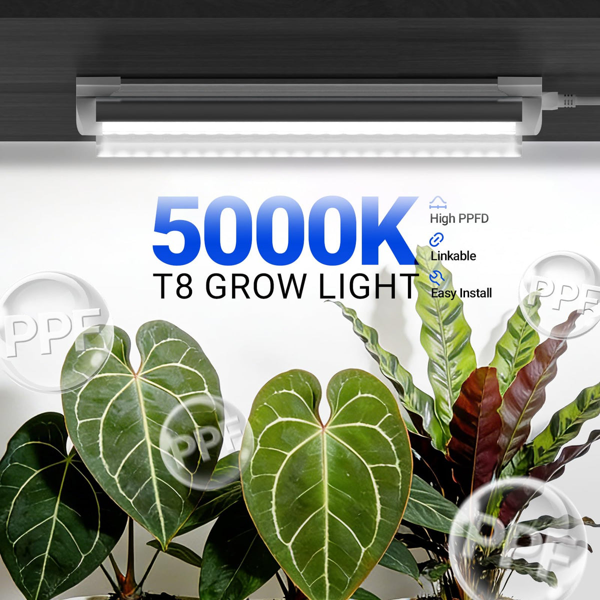 Barrina T8 5000K daylight illumination showcasing full-spectrum performance.