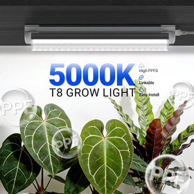 Barrina T8 5000K daylight illumination showcasing full-spectrum performance.