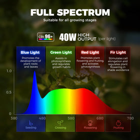 Barrina TR40 full-spectrum setup delivers bright, balanced light for greens