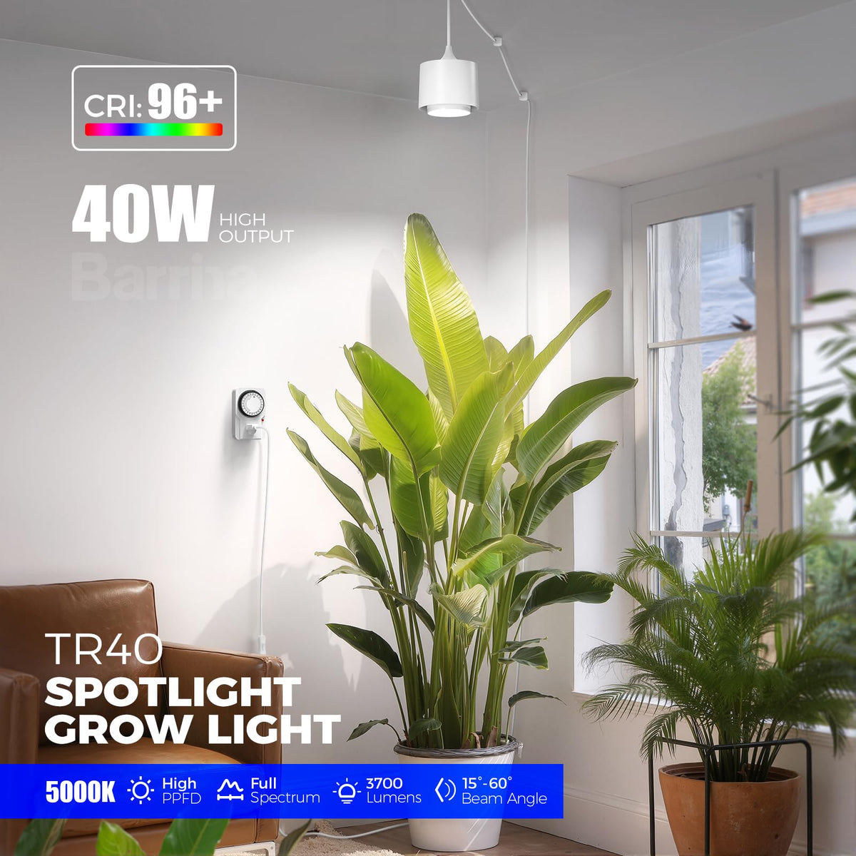 Barrina TR40 at 30° provides even coverage for small plant groups