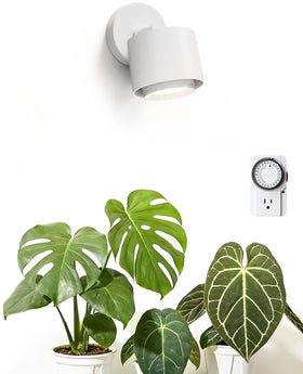 Barrina TR40a beam-angle-zoom demonstrates targeted lighting for individual plants.
