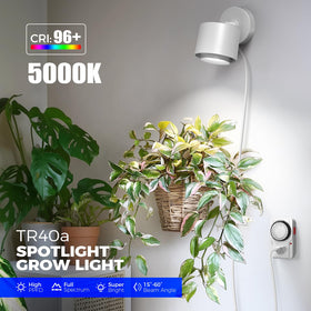 Barrina TR40a full-spectrum CRI96 supports vibrant growth across growth stages