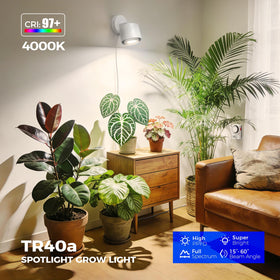 Barrina TR40a tilt-rotate shows versatile positioning for corners and shelves.