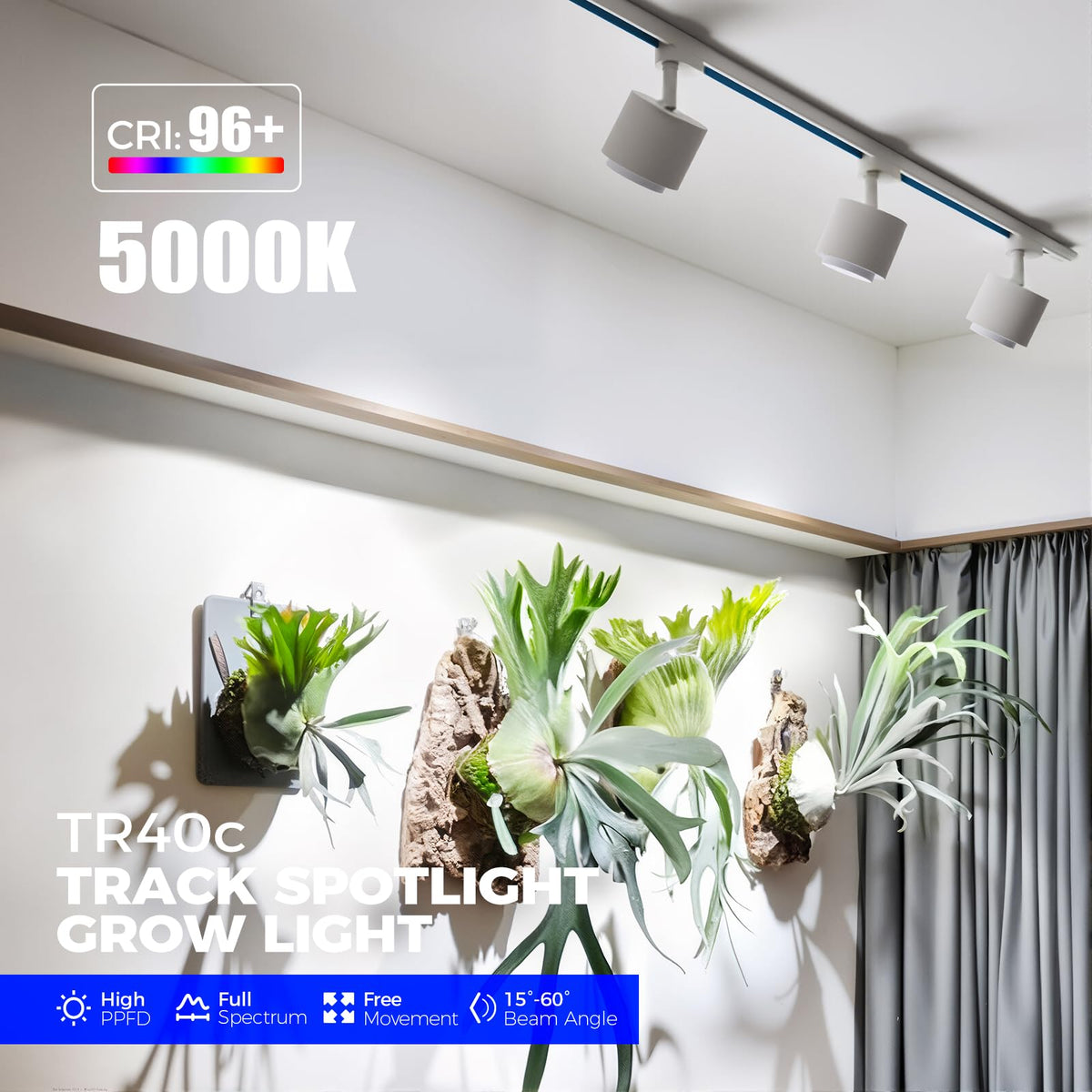 Barrina TR40c emits 5000K white light for vibrant indoor plant growth