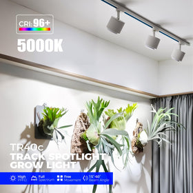 Barrina TR40c emits 5000K white light for vibrant indoor plant growth