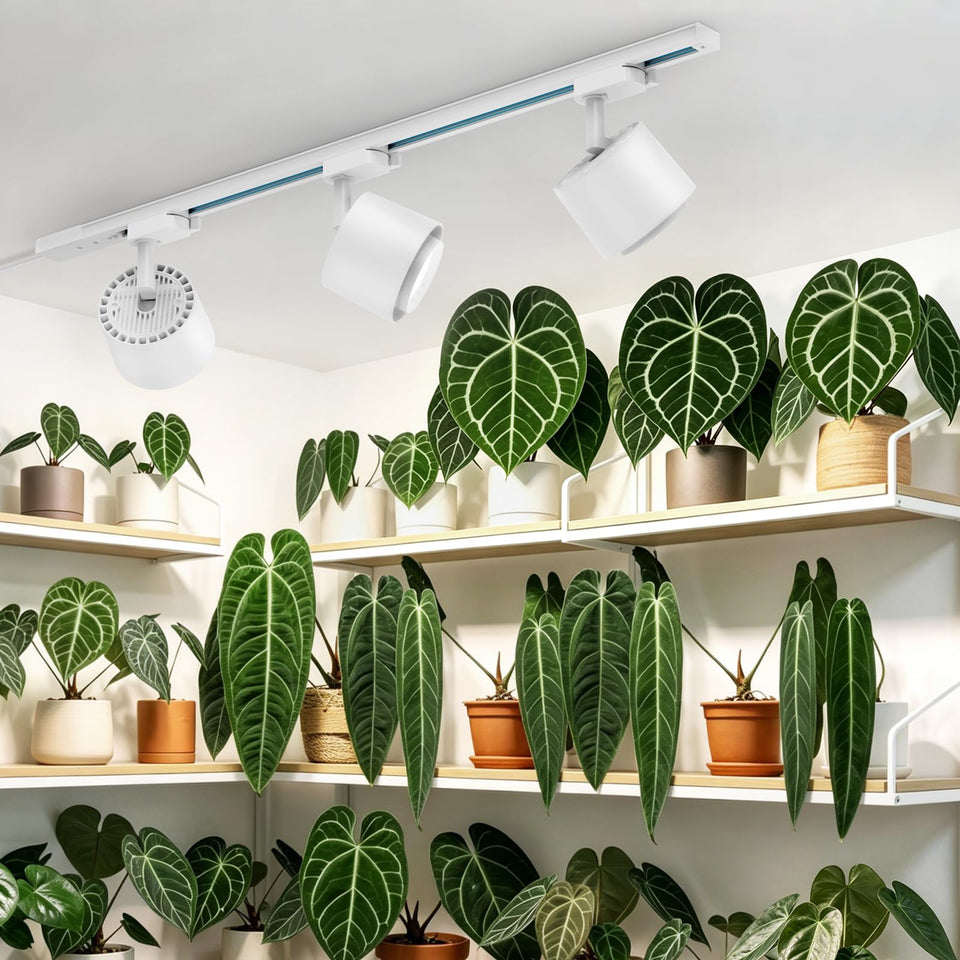 Barrina TR40c track light with adjustable beam angle for precise single-plant lighting