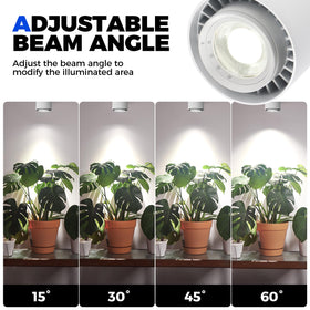 Barrina TR40c timer keeps consistent lighting schedules for plants