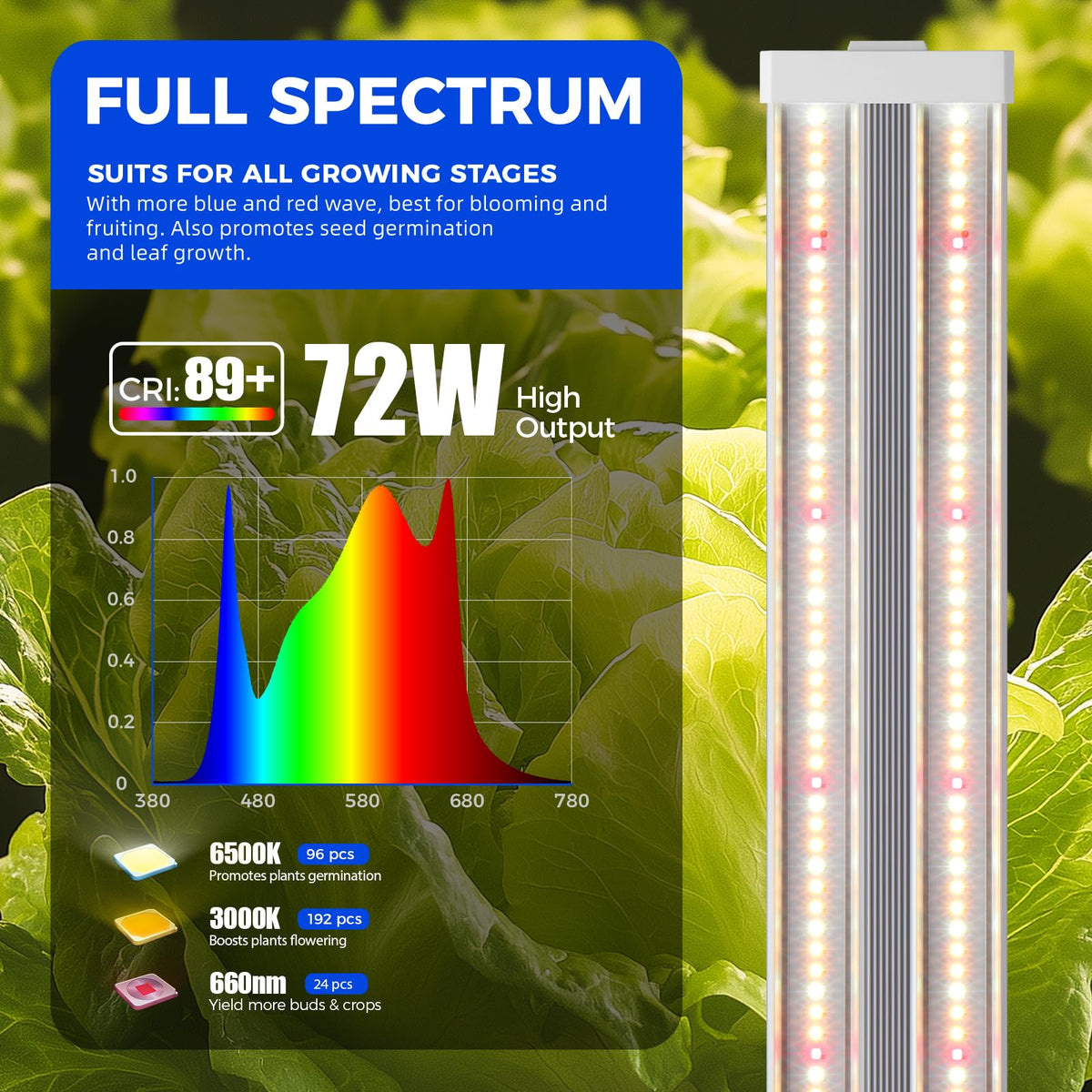 Barrina TX72 daisy-chain setup enabling scalable indoor garden lighting.