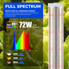 Barrina TX72 daisy-chain setup enabling scalable indoor garden lighting.