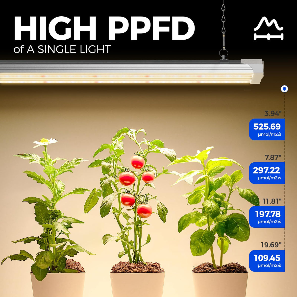 Barrina TX72 full spectrum panel with 660nm red LEDs supporting leafy growth.
