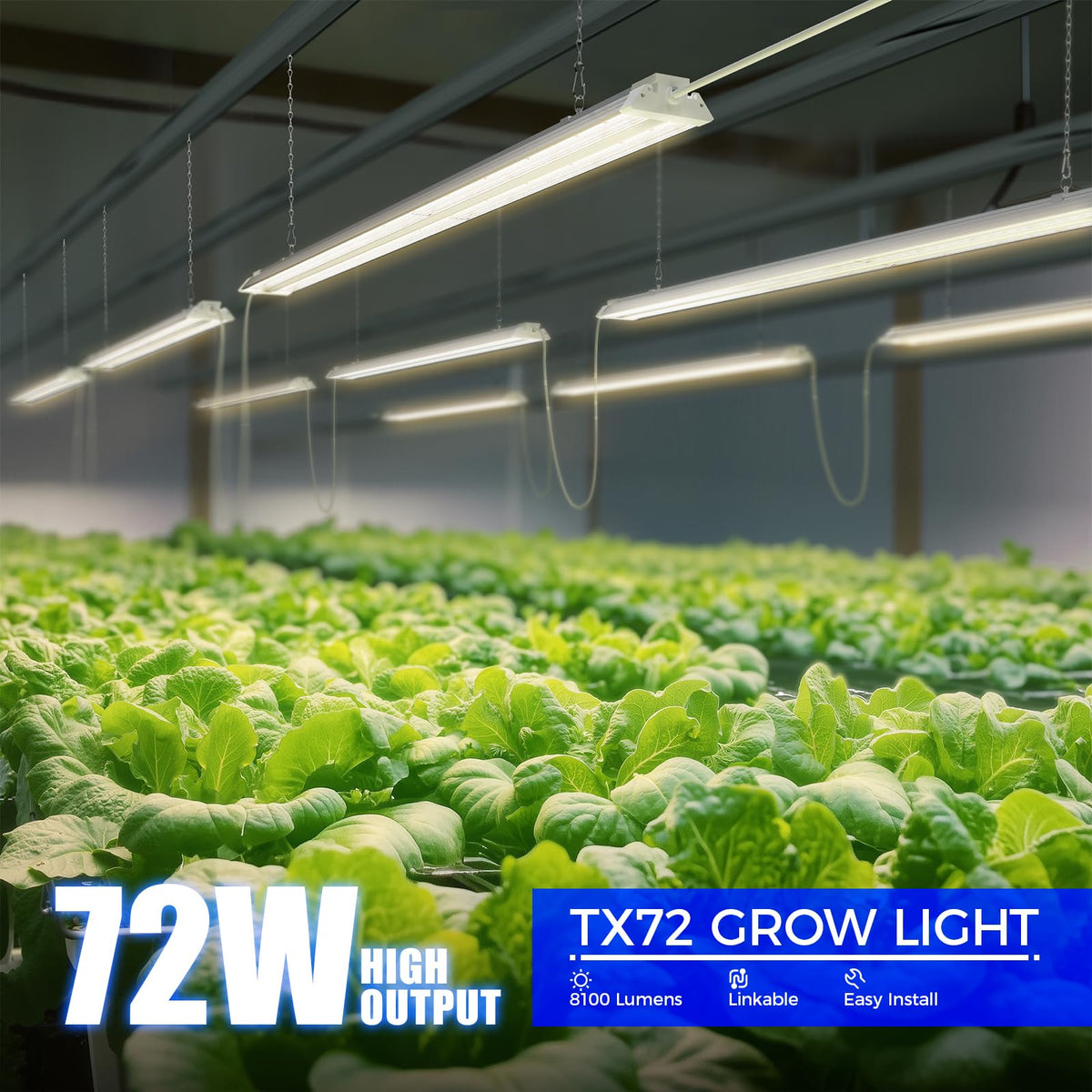 Barrina TX72 close-up showing 312 LEDs delivering strong PPFD for vigorous growth.