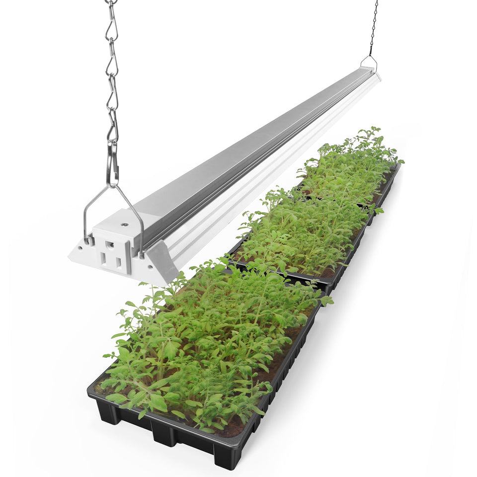 Barrina TX72 grow light over seed starting tray providing even germination lighting.