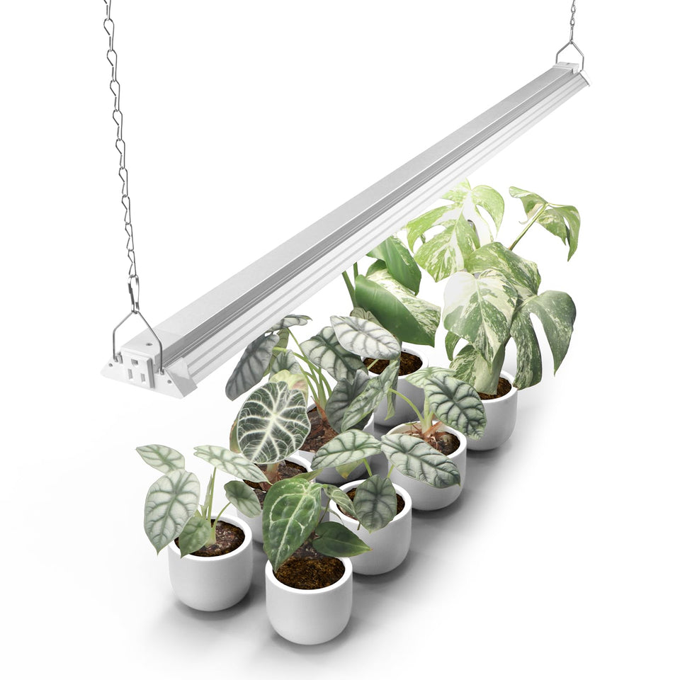 Barrina TX72 72W full-spectrum LED for vibrant indoor plant growth and seed starting.