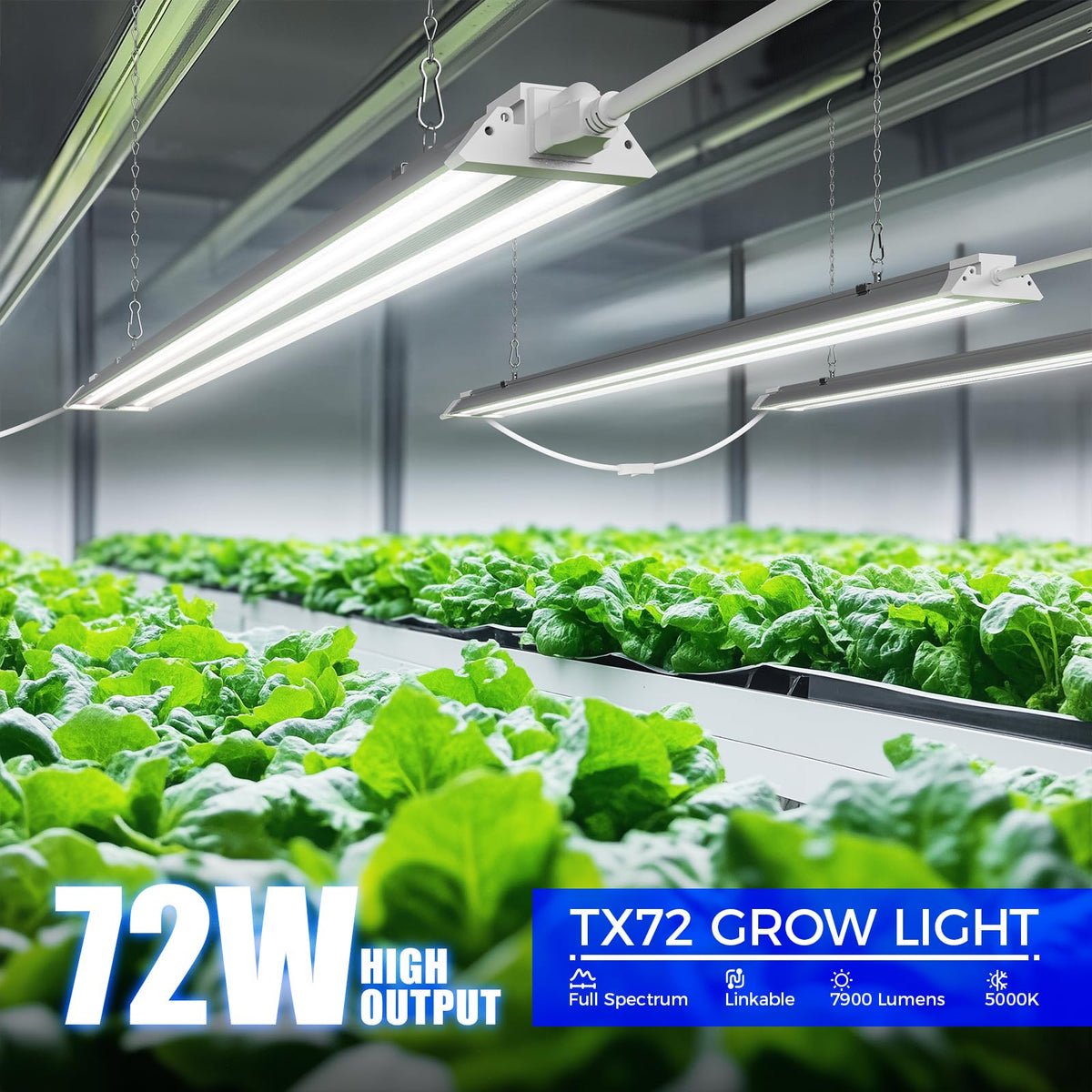 Barrina TX72 seed starting setup showing even light distribution for uniform germination