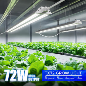 Barrina TX72 seed starting setup showing even light distribution for uniform germination