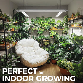Barrina TX72 indoor garden setup supporting herbs and leafy greens
