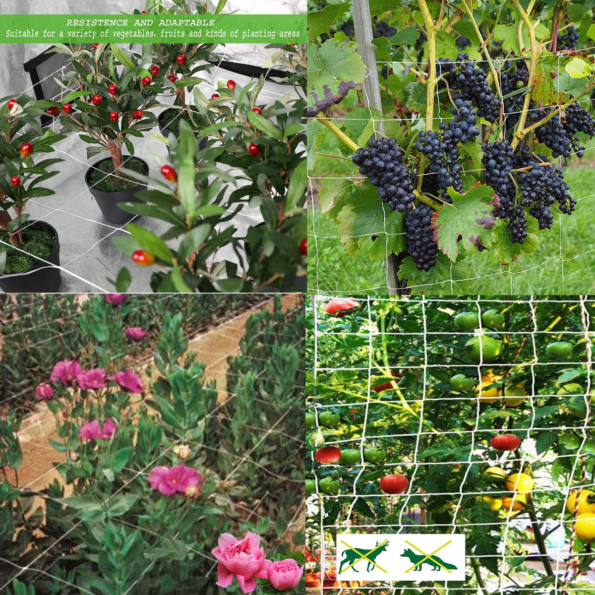 BaseGoal easy-install trellis net wraps around supports in minutes.