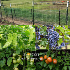 BaseGoal heavy-crop-load netting reduces plant damage from wind and animals.